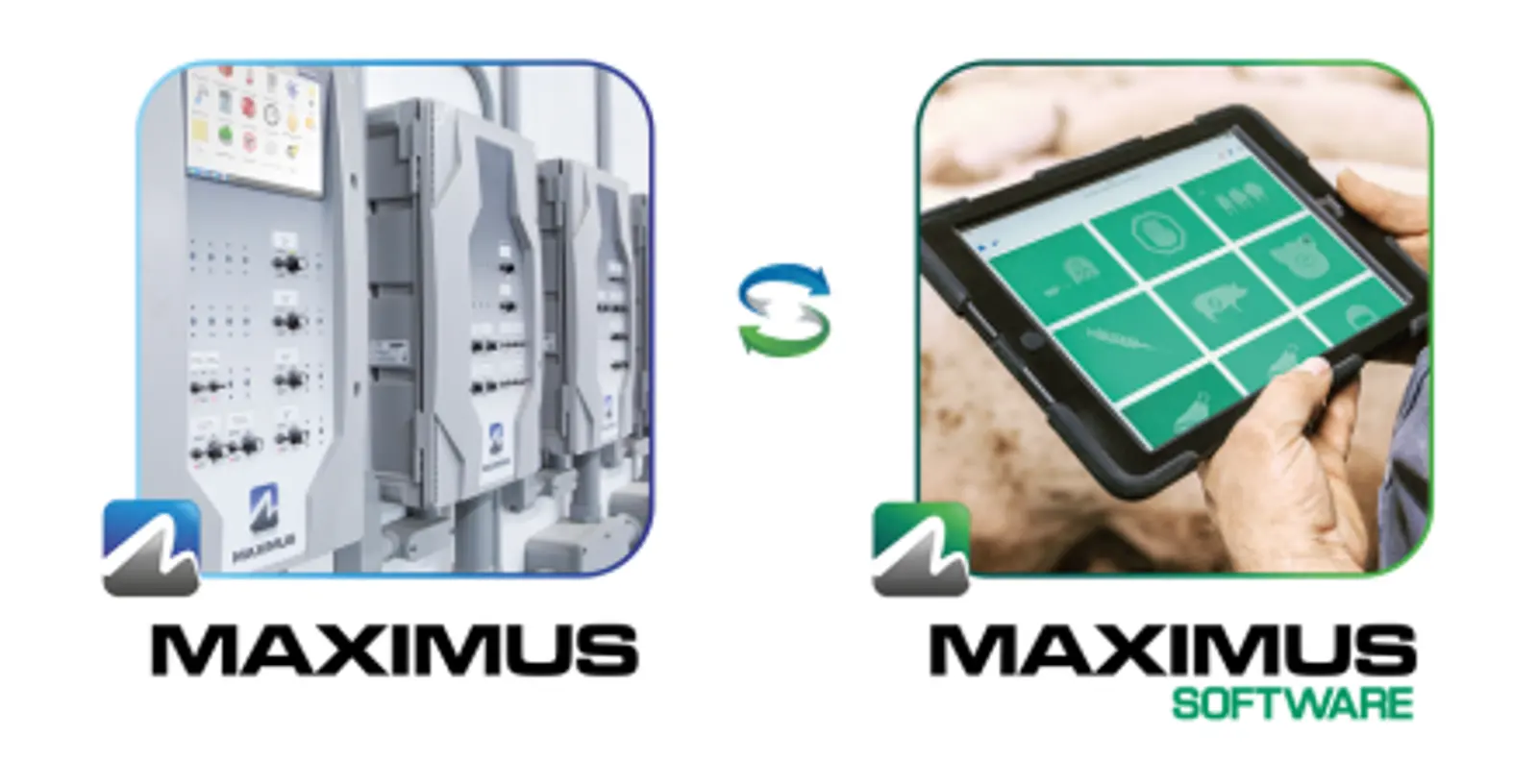 Sistema de gestión de granjas - Solución MAXIMUS – Recopilación y análisis de datos de crecimiento de los lotes de aves