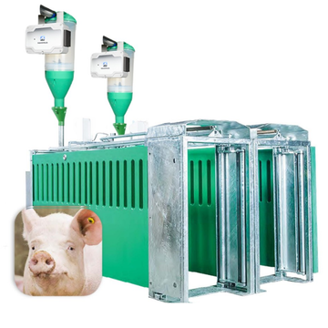 Système de gestion porcine - MAXIMUS, station d'alimentation pour truies en gestation libre