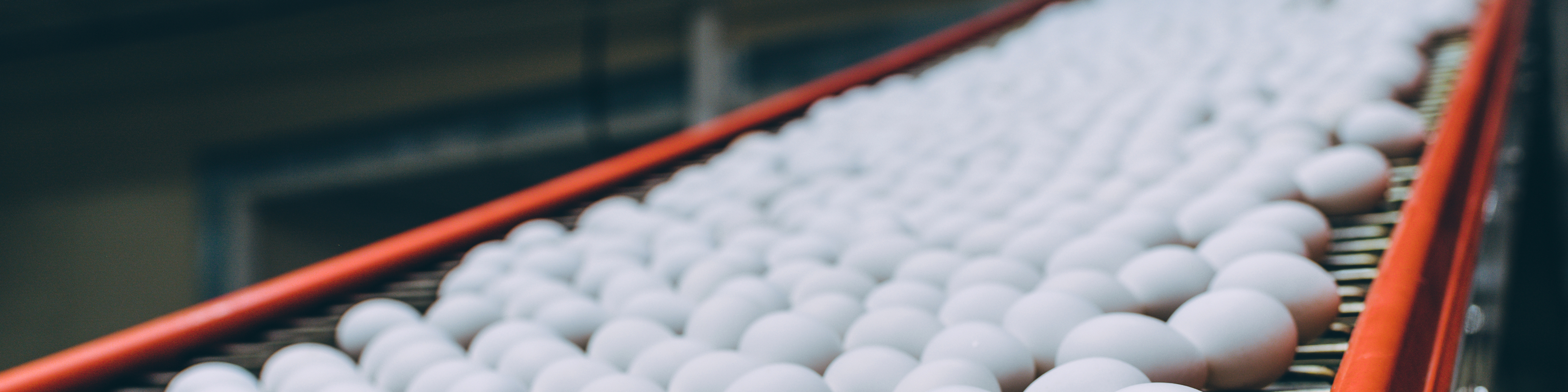 Egg Flow System – Egg flow management with real-time monitoring.