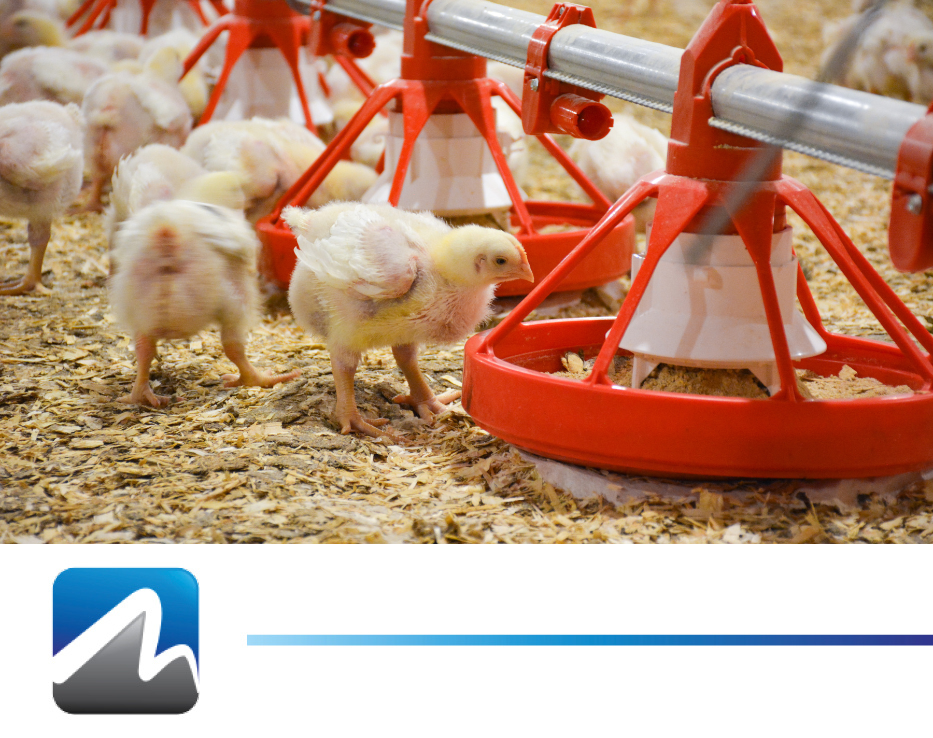 poultry-feed-management.png