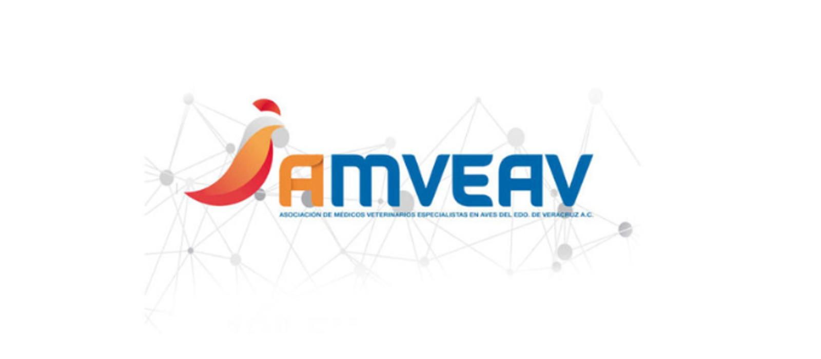 MAXIMUS Eventos - Venga a conocer a los especialistas de MAXIMUS en el AMVEAV