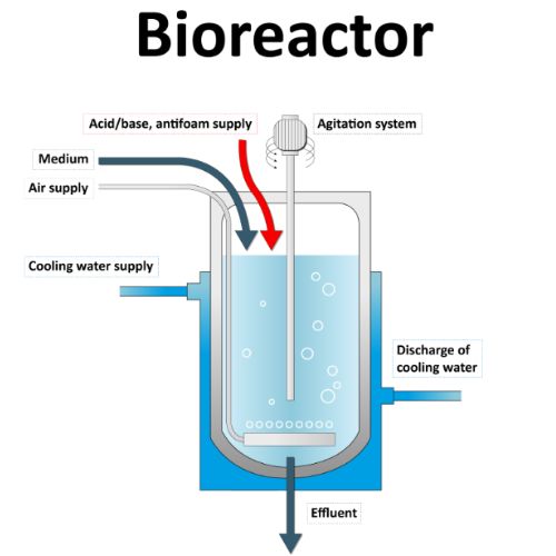 knowledge hub - bioprocessing - bioreactor