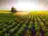 Thomas_Agricultural Spraying & Seeding_Pumps_Card.jpg