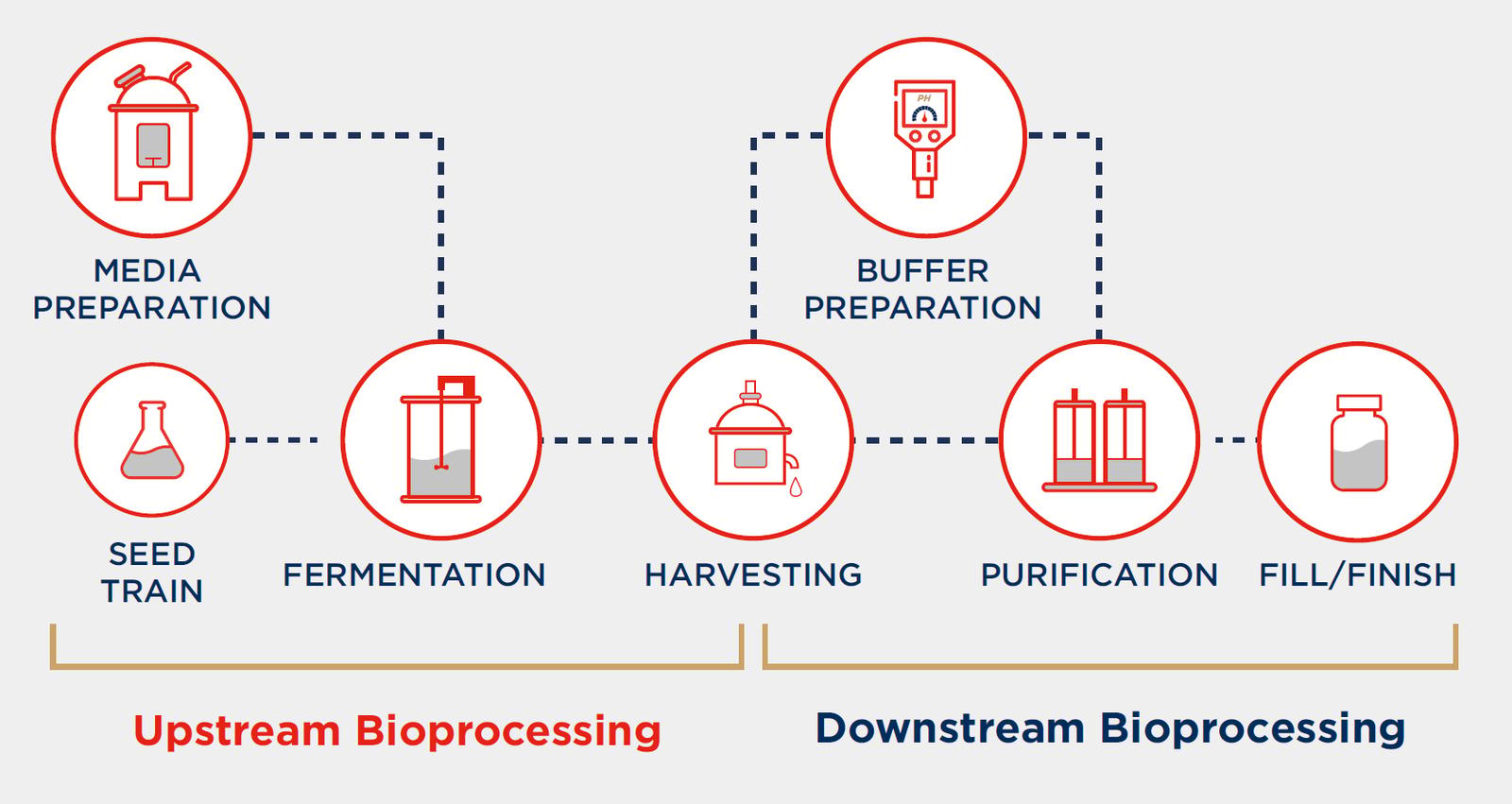 bio-pharmaceutical upstream and downstream processing