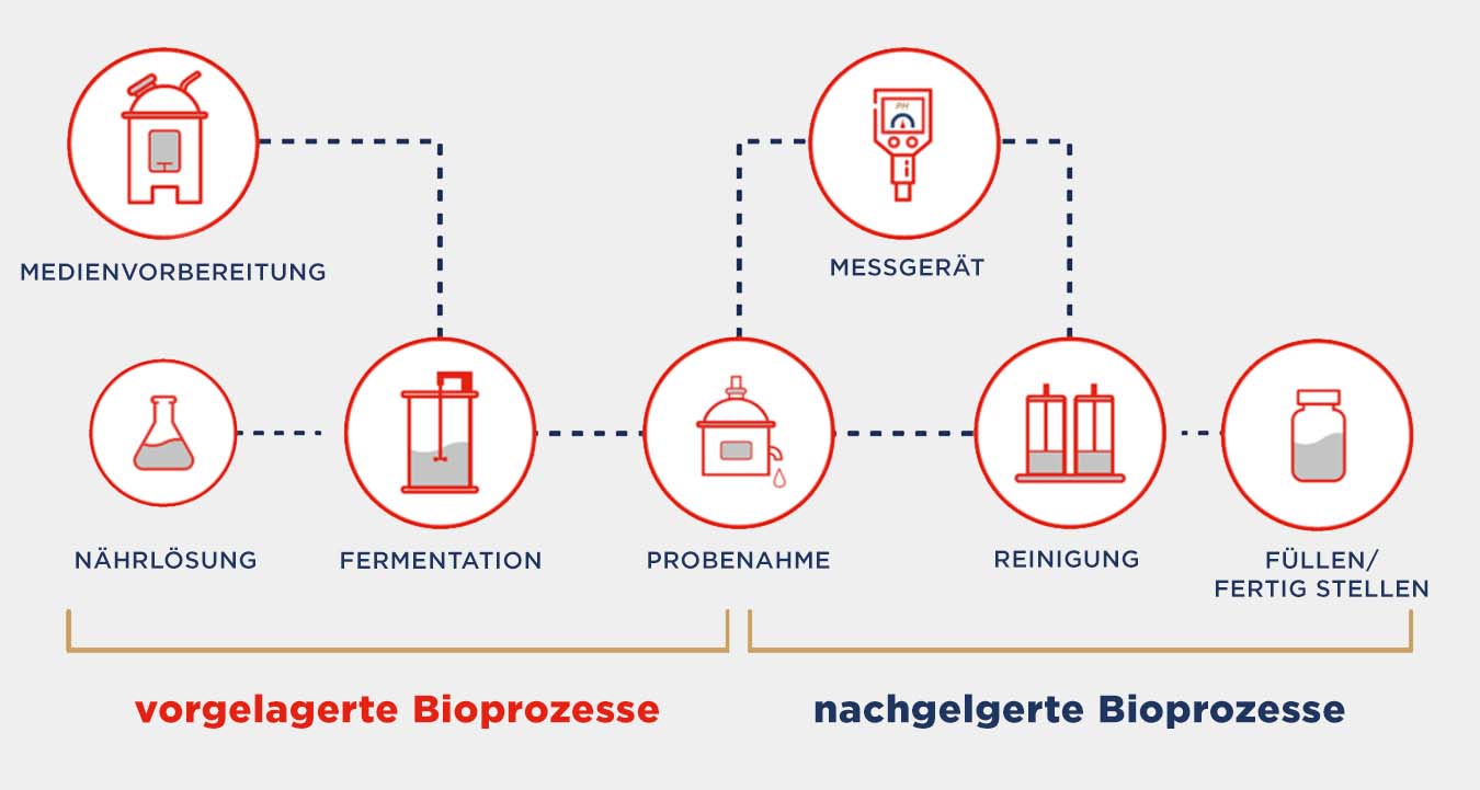 bio-pharmaceutical upstream and downstream processing