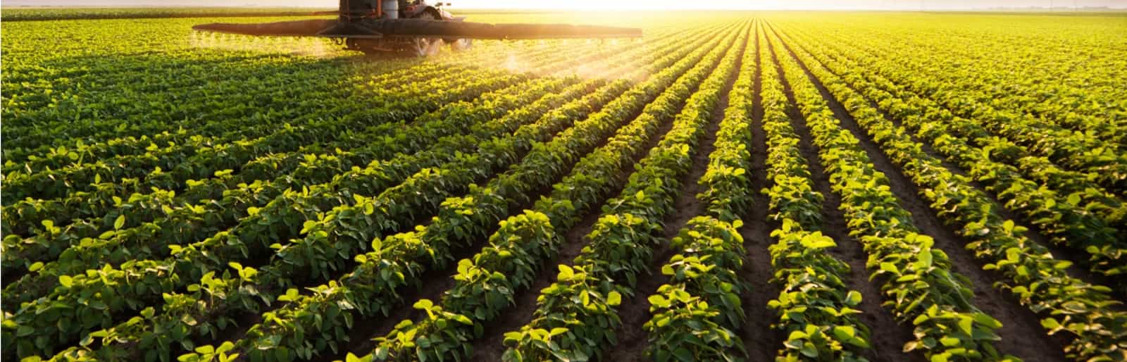 Thomas Agriculture: OEM Pumps & Compressors