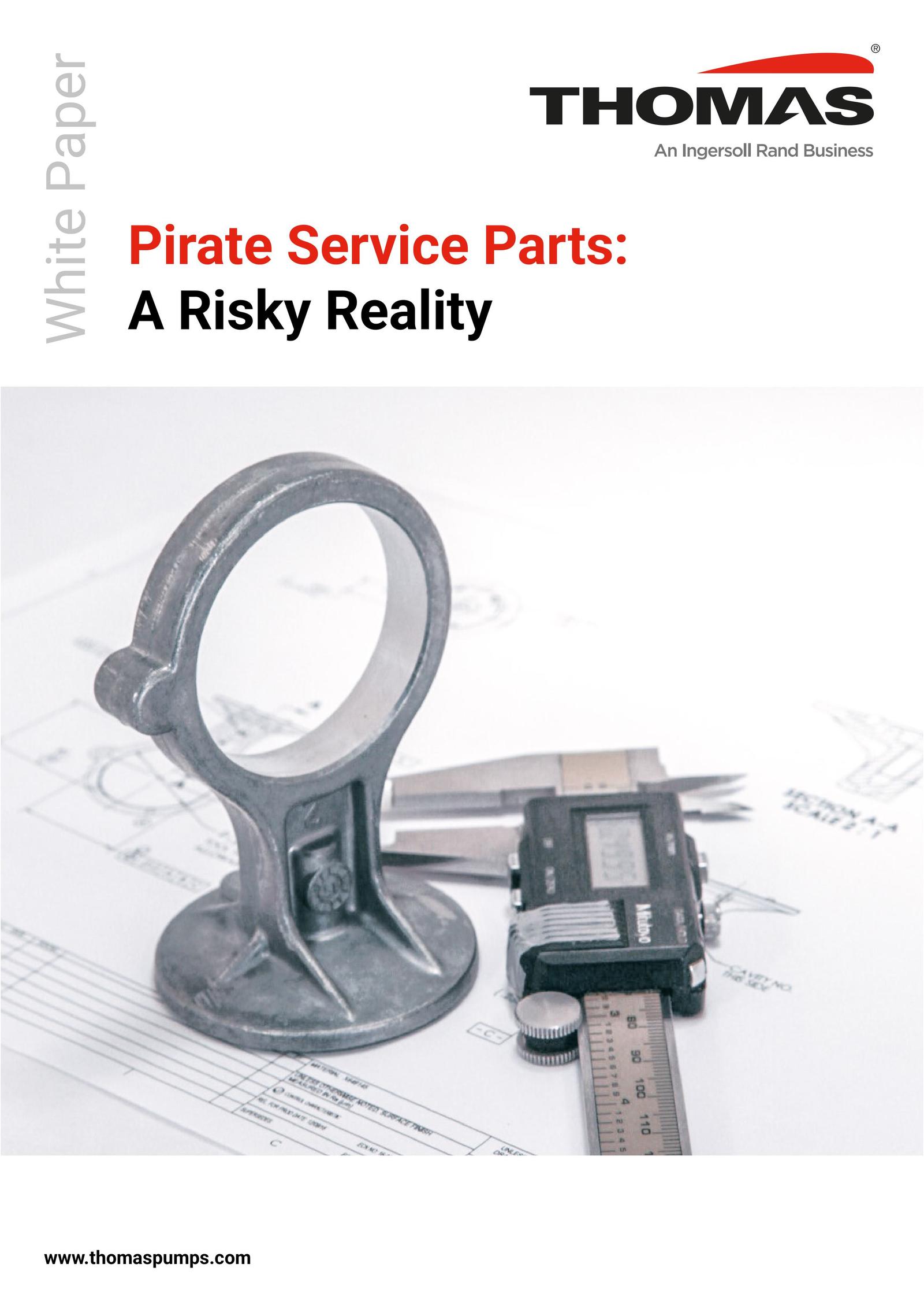 Pirate Service Parts Risks