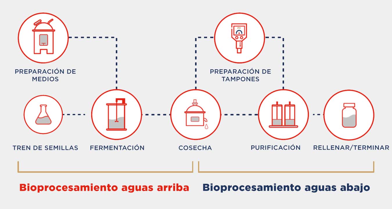 bio-pharmaceutical upstream and downstream processing