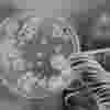 biopharmaceutical-thumb.jpg