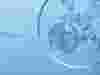 biopharmaceutical-thumb.jpg