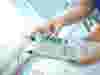 Thomas_Point of Care Testing Pumps_Card.jpg