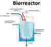 Biorreactor