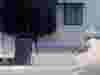 Thomas_Blood Gas Analyzer Pumps_Card.jpg
