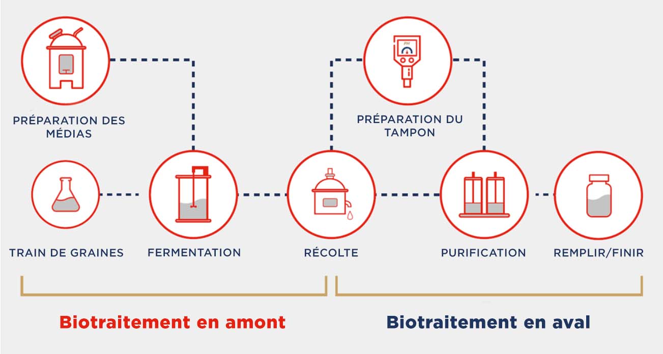 bio-pharmaceutical upstream and downstream processing