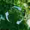 sustainability-teaser.jpg