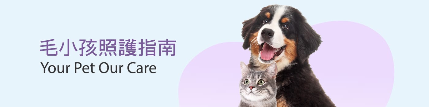 Pet Buying Guide Category Banner