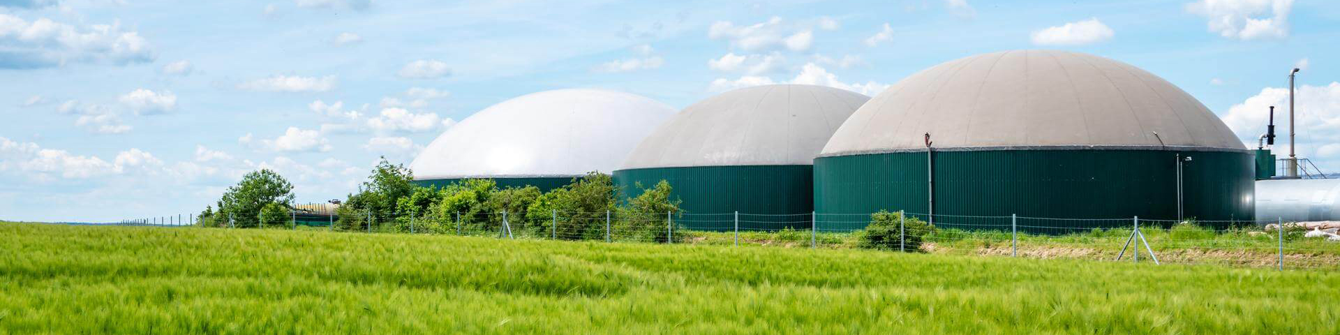 Chillers for Biogas Applications