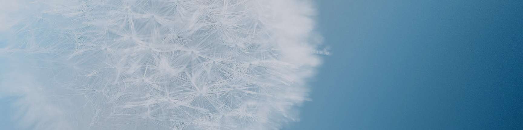 friulair-header-qualita-aria.jpg