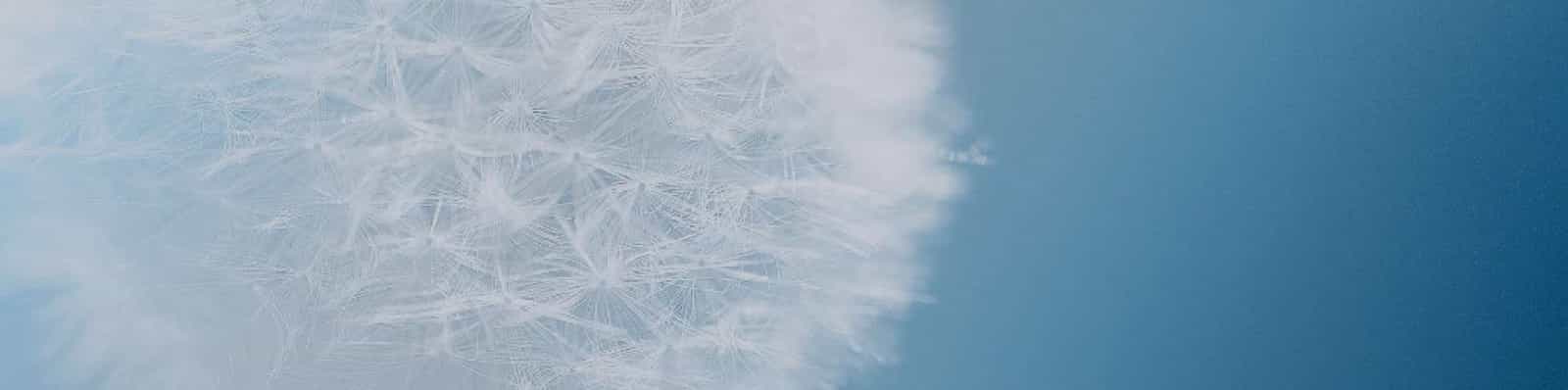 friulair-header-qualita-aria.jpg