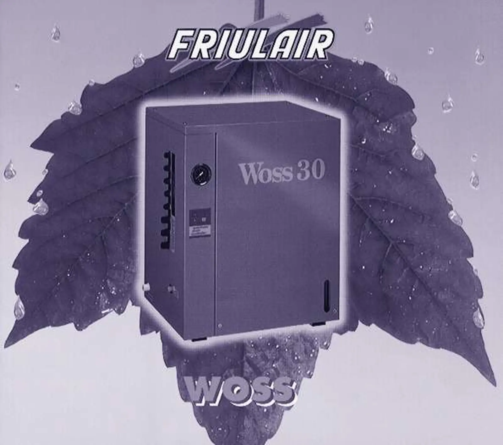 friulair-storia-1996.jpg