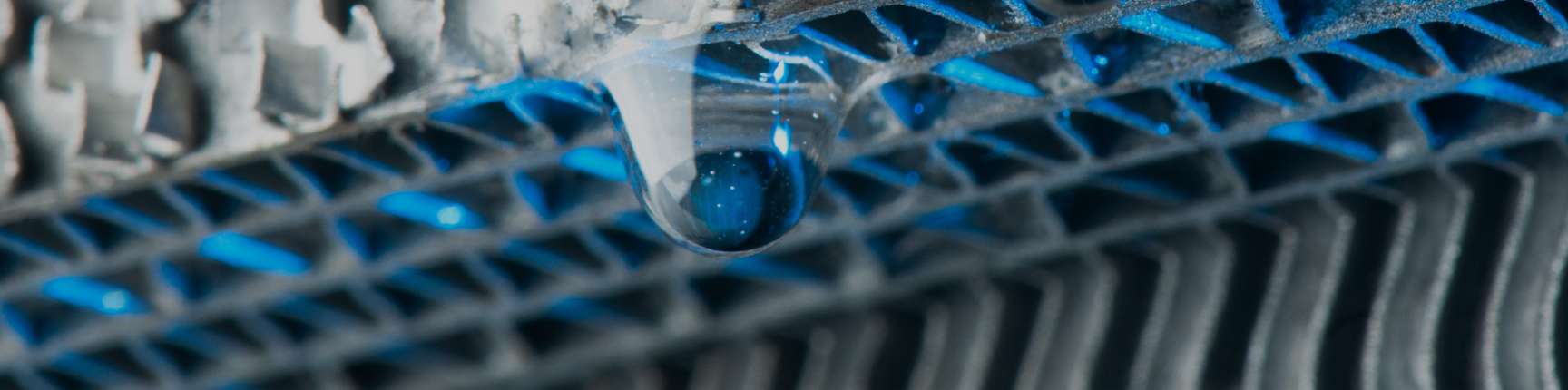 background-header-fattori-di-protezione.jpg