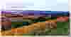 wine-and-breweries-ir-image-v1-115.png