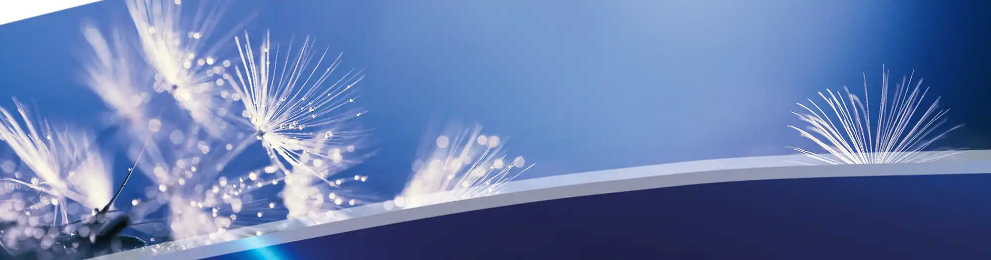 Banner_Dryers_no prodotto.jpg