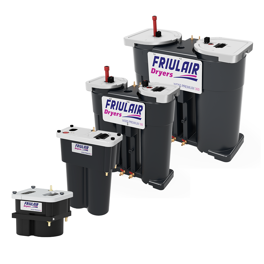 Compressed Air Solutions | Friulair Products & Technologies