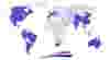 Mappa Services