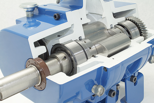 Qx Cutaway Close Up Shaft End