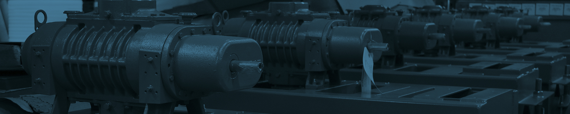Rotary Positive Displacement Blowers