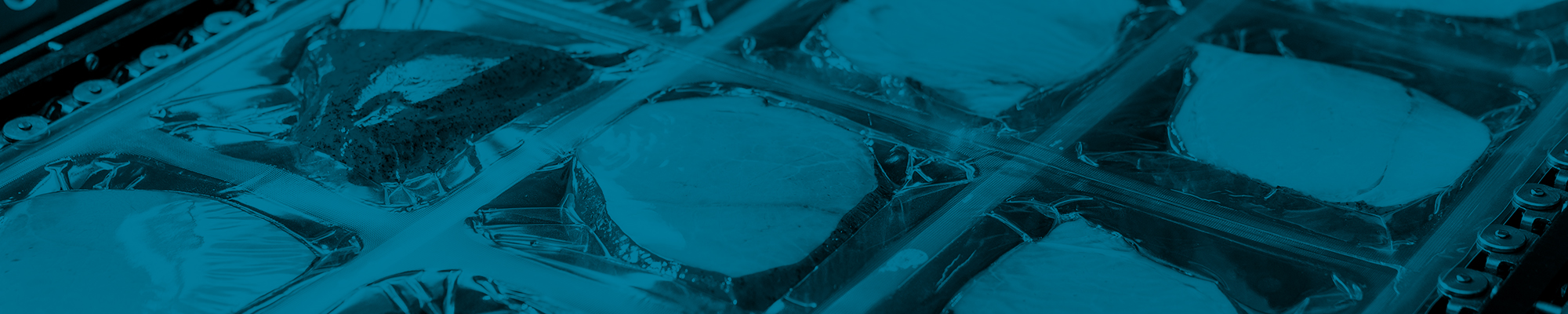 Vacuum Boosters Banner