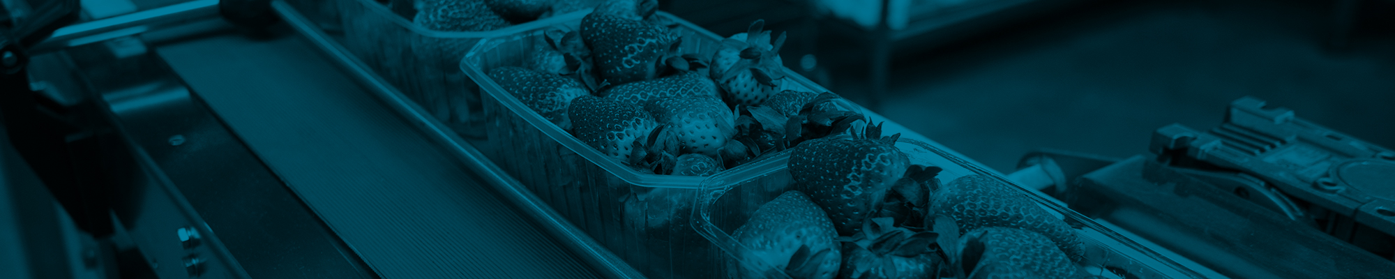 Food packing strawberries - Rotary Vane Vacuum Pumps banner