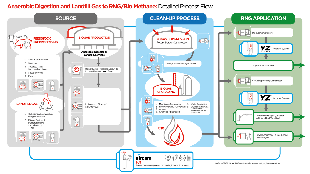 tree schemat process rng