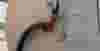todo fuel nozzle