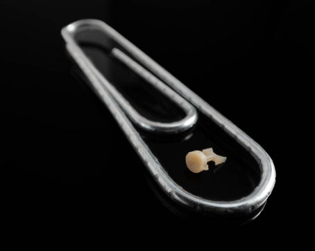 Product-Photo-Comparison_of_the_mold_results_and_the_paper_clip