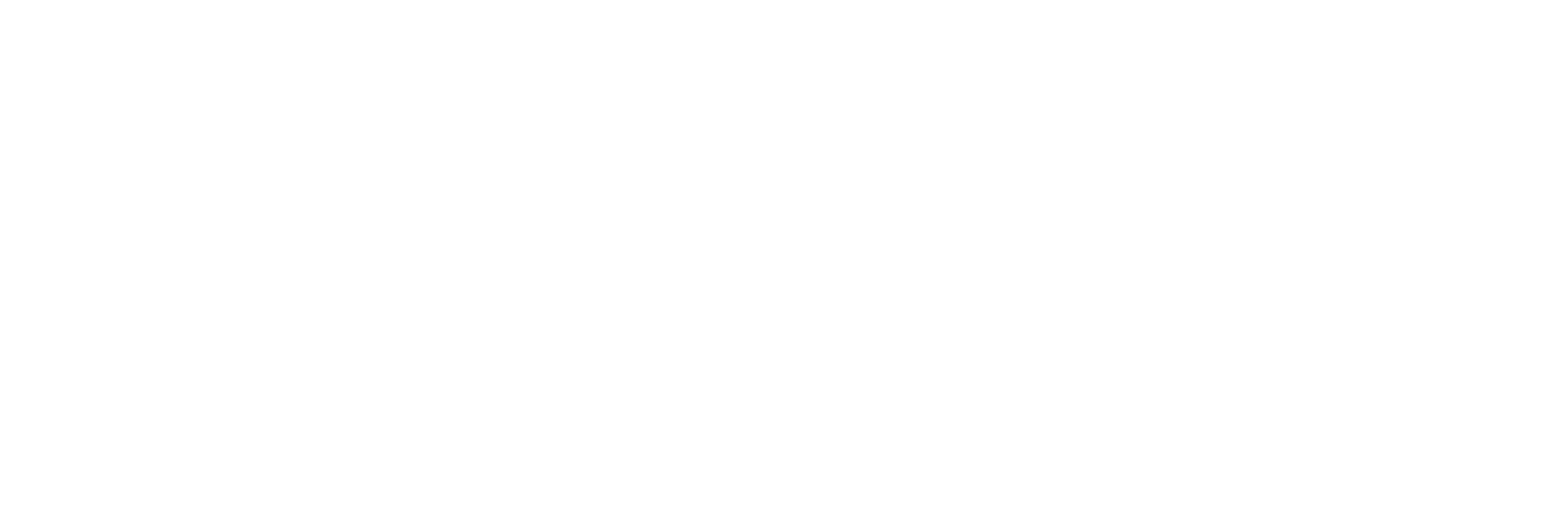 Runtech_logo_white.png
