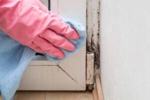 person with a pink glove and rag clean mold from window