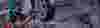 AUTO 440x400.png