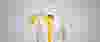 ILC-Product-Banner-Guardian.jpg