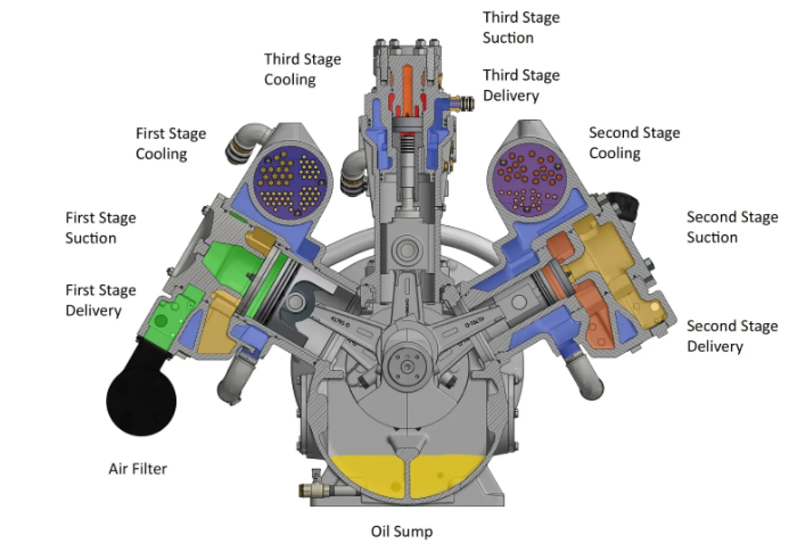 cross-section-5442.webp