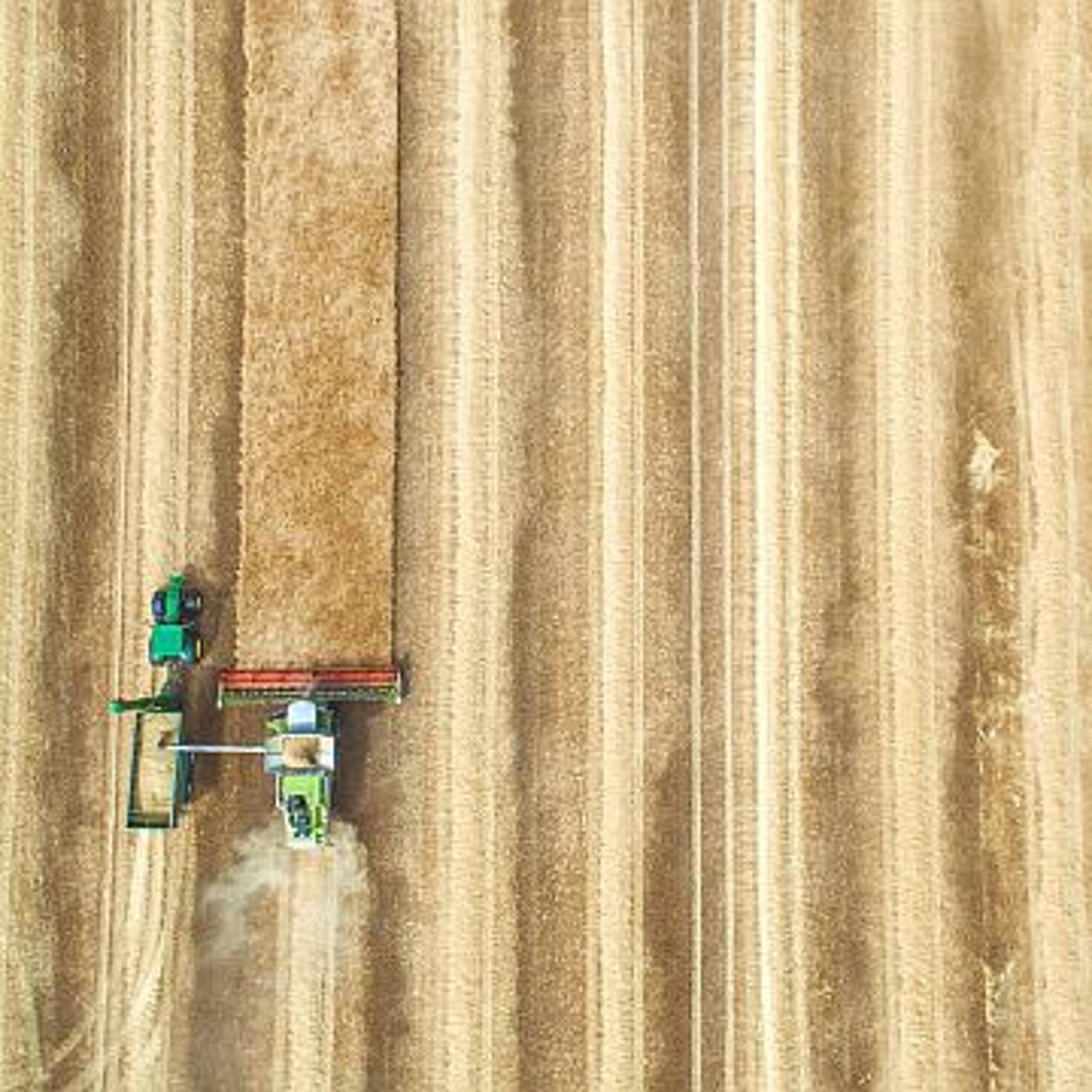 DV-Systems-news-Teaser-agribrink.jpg