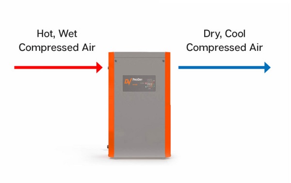 Air-Dryer-Diagram-What-It-Does-uai.jpg