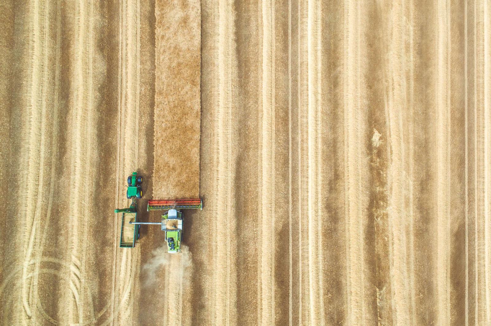 agribrink-1-DV-Systems.jpg