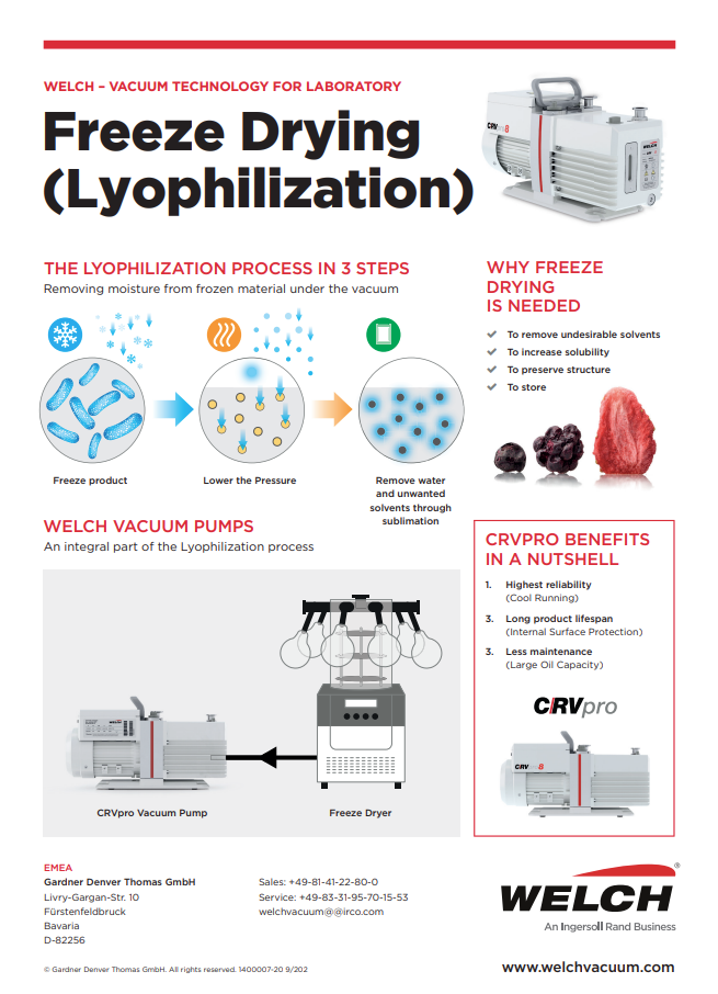  Freeze Drying Infographic