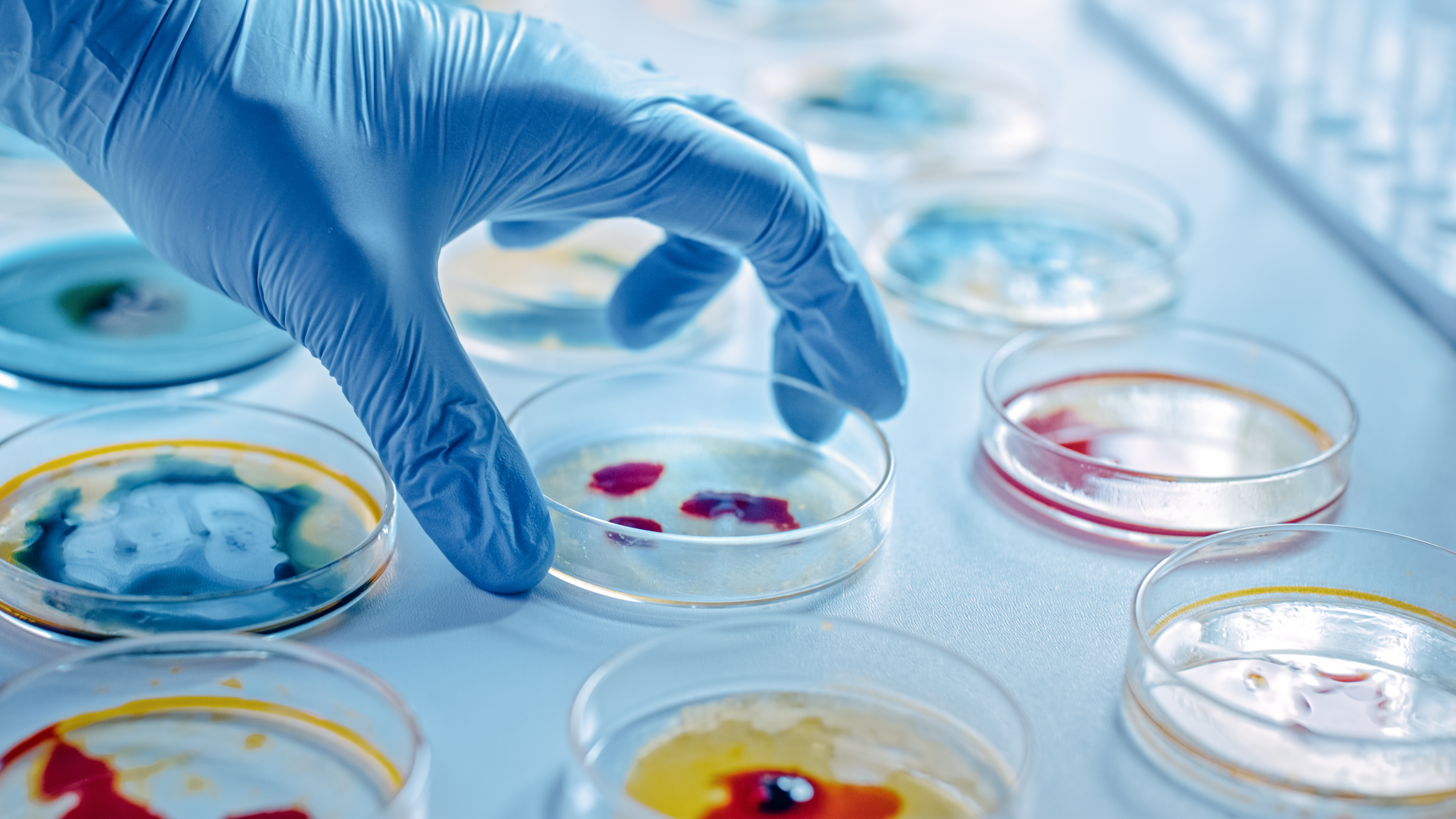 CellCulture.jpg