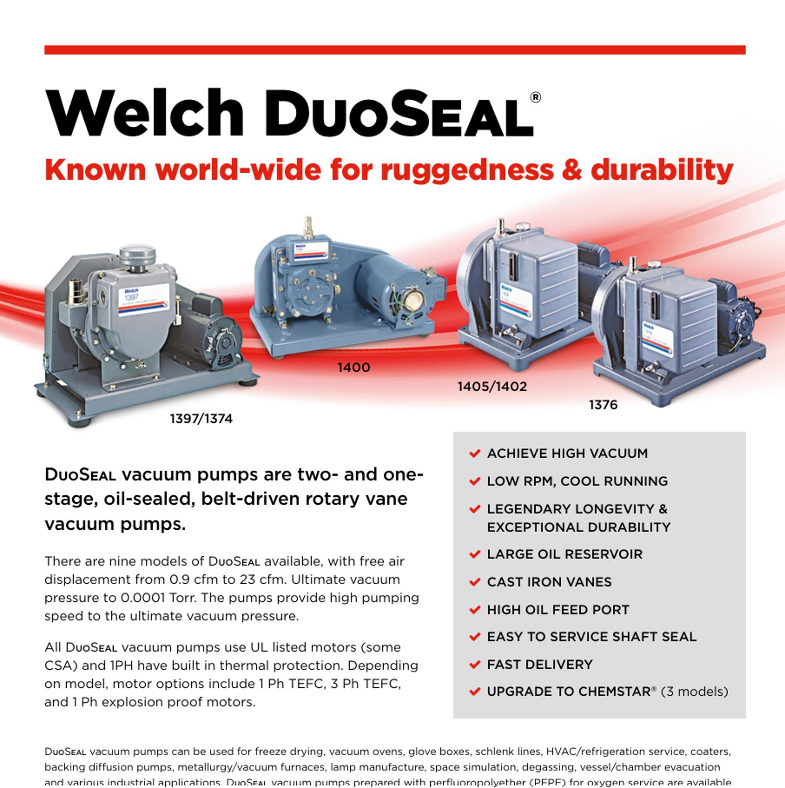 Welch Duo pumps.png