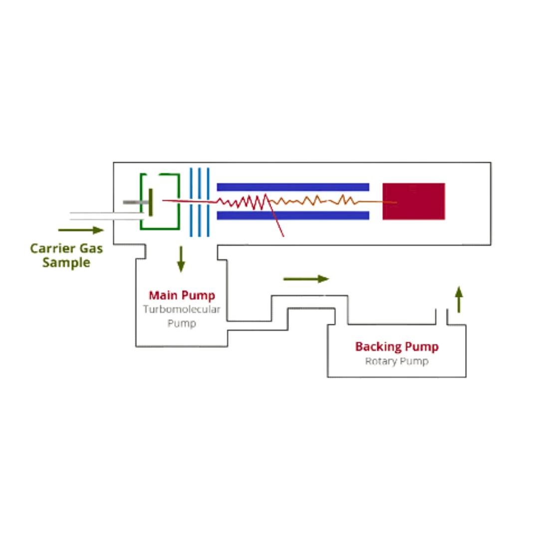 MassSpec.png