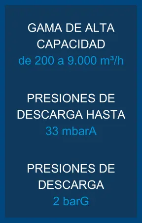 Spanish Performance Metrics