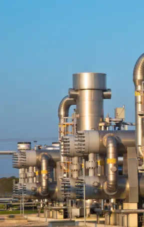 Biogas industry